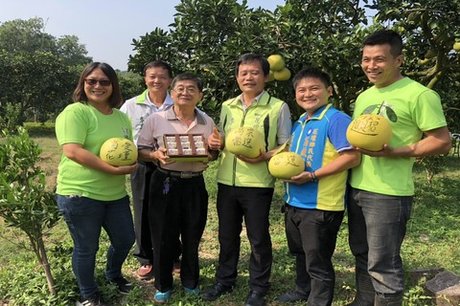 花壇西施柚全國最早栽種推廣 新唐人亞太電視台