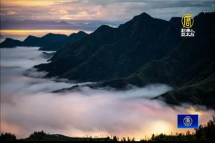 東北季風凝結水氣 南投山區現「雲瀑秀」翻湧