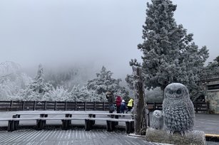 受寒流影響，海拔約1900公尺、位在宜蘭縣的太平山國家森林遊樂區25日清晨雖沒下雪，但出現霧淞銀白美景，上午還降下冰霰，吸引不少遊客上山走春。（圖／林務局羅東林管處提供）