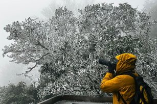 新竹縣尖石鄉宇老部落27日晚間陸續飄雪，28日清晨樹木上都結了霧淞，白靄靄的景色相當夢幻、美麗。（圖／綠木頭景觀餐廳提供）