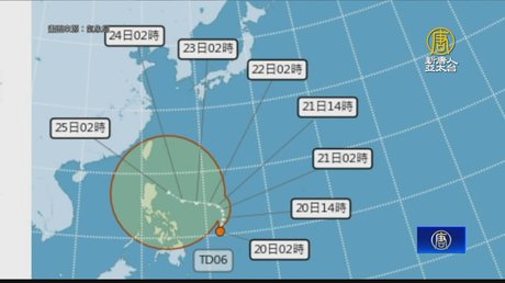 売り人気商品 新品未使用三枚網20反 - lebaneselw-legalgate.org