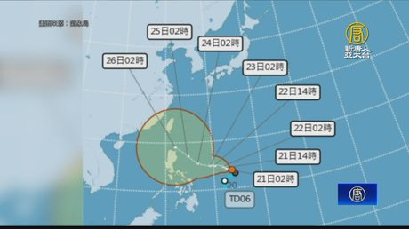 正規代理店通販サイト】 新品未使用三枚網20反 - delalaaddis.com