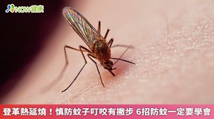 夏日到來，生活中的蚊子也逐漸湧現，民眾若不想要被叮得滿腿「紅豆冰」，一定要做好防蚊準備。（圖／NOW健康製作；圖片來源／ingimage）