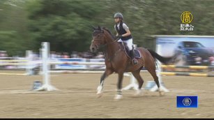 新竹縣長盃馬術錦標賽完賽 鼓舞選手為國爭光