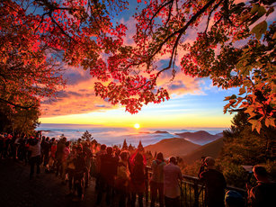 金獎-楓紅阿里山雲海（阿里山國家風景區管理處提供）