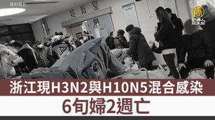 浙江現H3N2與H10N5混合感染 6旬婦2週亡