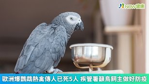 歐洲爆鸚鵡熱禽傳人已死5人 疾管署籲鳥飼主做好防疫(首圖來源／Freepik)