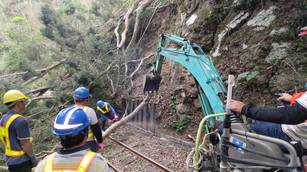 疑地震影響樹倒伏 林鐵全力搶修15日可恢復通車。（林鐵及文資處提供）