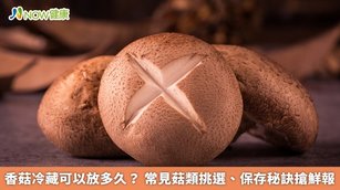 香菇冷藏可以放多久？常見菇類挑選、保存秘訣搶鮮報(首圖來源／Freepik)