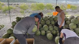 花蓮西瓜銷量下降 民眾PO文號召宜蘭鄉親支持