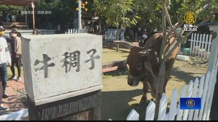 台南牛稠子車站公園成打卡熱點 里長奔走活化空地