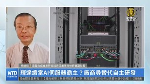 輝達續掌AI伺服器霸主？廠商尋替代自主研發